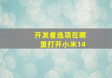 开发者选项在哪里打开小米14