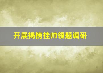 开展揭榜挂帅领题调研