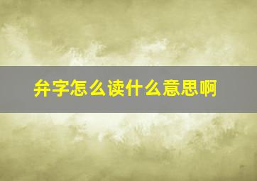 弁字怎么读什么意思啊