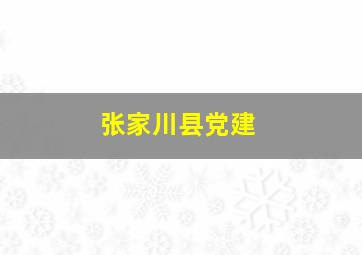 张家川县党建