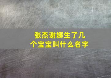 张杰谢娜生了几个宝宝叫什么名字