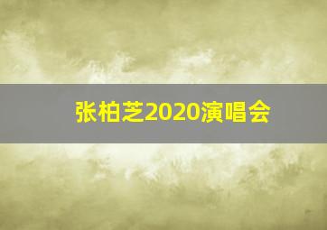 张柏芝2020演唱会