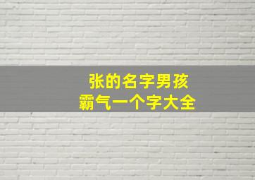 张的名字男孩霸气一个字大全