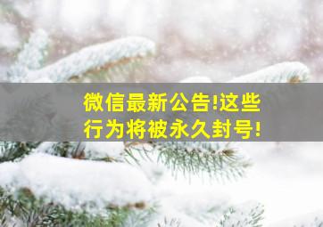 微信最新公告!这些行为将被永久封号!