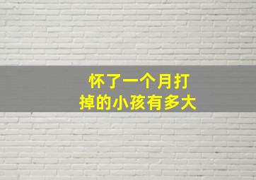 怀了一个月打掉的小孩有多大