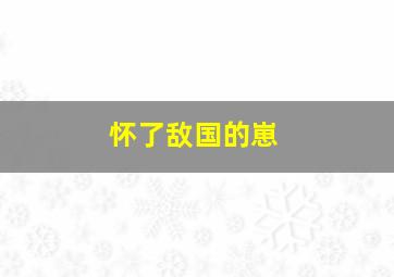 怀了敌国的崽