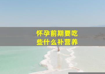 怀孕前期要吃些什么补营养