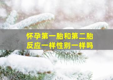 怀孕第一胎和第二胎反应一样性别一样吗