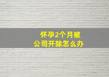 怀孕2个月被公司开除怎么办