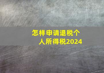 怎样申请退税个人所得税2024