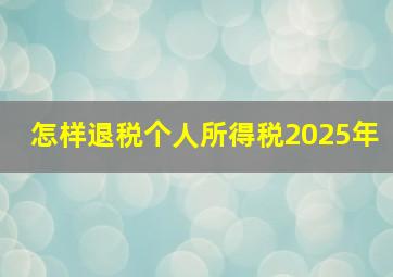 怎样退税个人所得税2025年