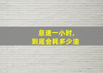 怠速一小时,到底会耗多少油