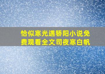 恰似寒光遇骄阳小说免费观看全文司夜寒白帆