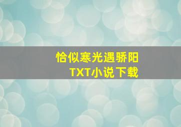 恰似寒光遇骄阳TXT小说下载