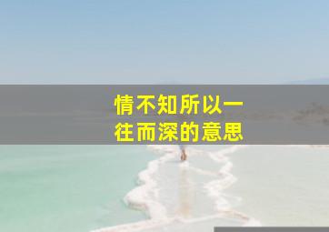 情不知所以一往而深的意思