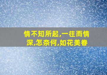 情不知所起,一往而情深,怎奈何,如花美眷