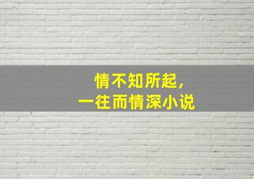 情不知所起,一往而情深小说