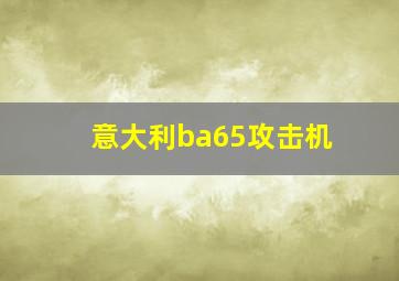 意大利ba65攻击机