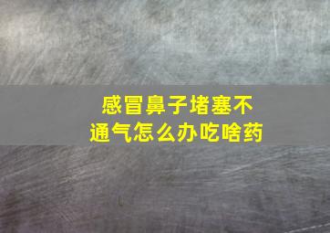 感冒鼻子堵塞不通气怎么办吃啥药