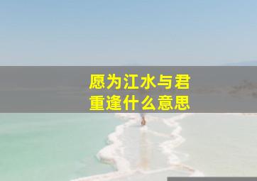 愿为江水与君重逢什么意思