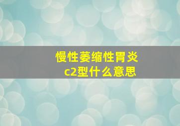 慢性萎缩性胃炎c2型什么意思