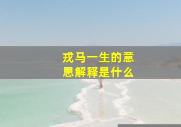 戎马一生的意思解释是什么