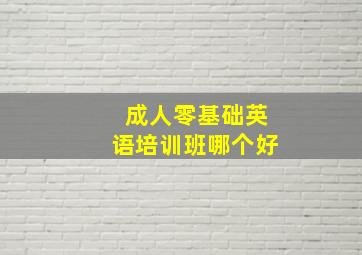 成人零基础英语培训班哪个好