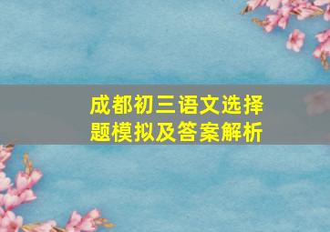 成都初三语文选择题模拟及答案解析