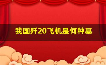 我国歼20飞机是何种基