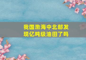 我国渤海中北部发现亿吨级油田了吗