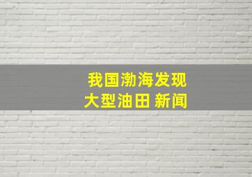 我国渤海发现大型油田 新闻