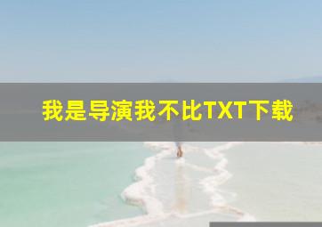 我是导演我不比TXT下载