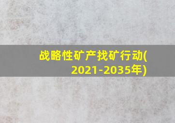 战略性矿产找矿行动(2021-2035年)