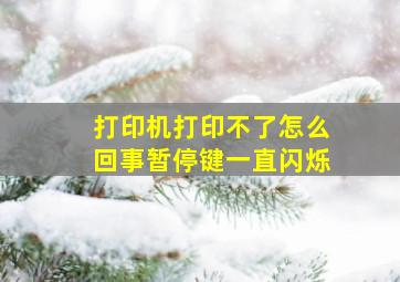 打印机打印不了怎么回事暂停键一直闪烁