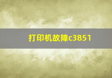 打印机故障c3851