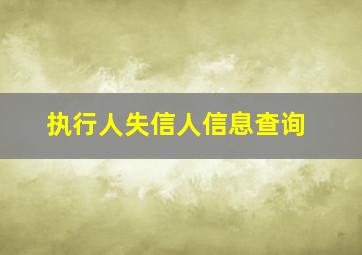 执行人失信人信息查询