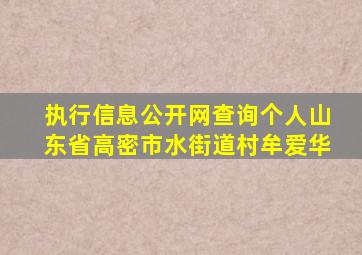 执行信息公开网查询个人山东省高密市水街道村牟爱华