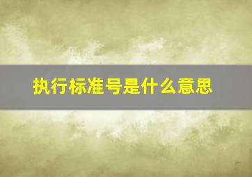 执行标准号是什么意思