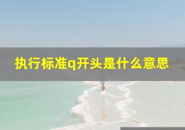 执行标准q开头是什么意思