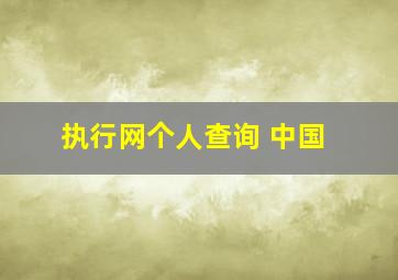 执行网个人查询 中国