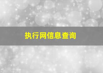 执行网信息查询