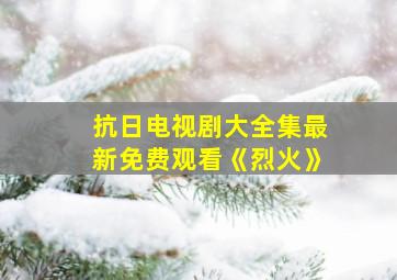 抗日电视剧大全集最新免费观看《烈火》