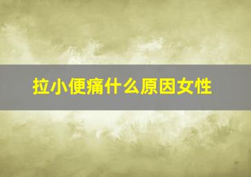 拉小便痛什么原因女性