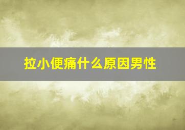 拉小便痛什么原因男性