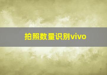 拍照数量识别vivo