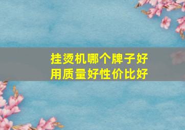 挂烫机哪个牌子好用质量好性价比好