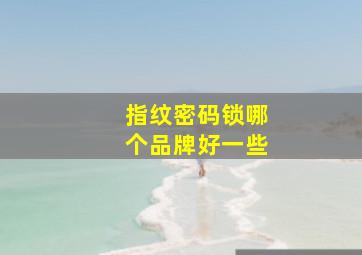 指纹密码锁哪个品牌好一些