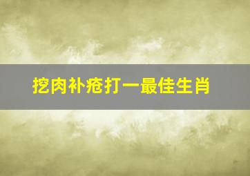 挖肉补疮打一最佳生肖