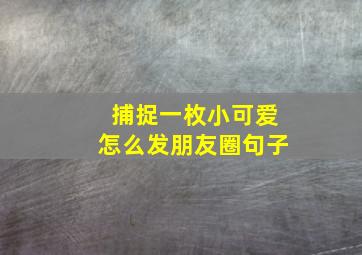 捕捉一枚小可爱怎么发朋友圈句子