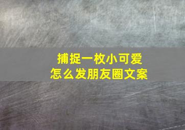 捕捉一枚小可爱怎么发朋友圈文案